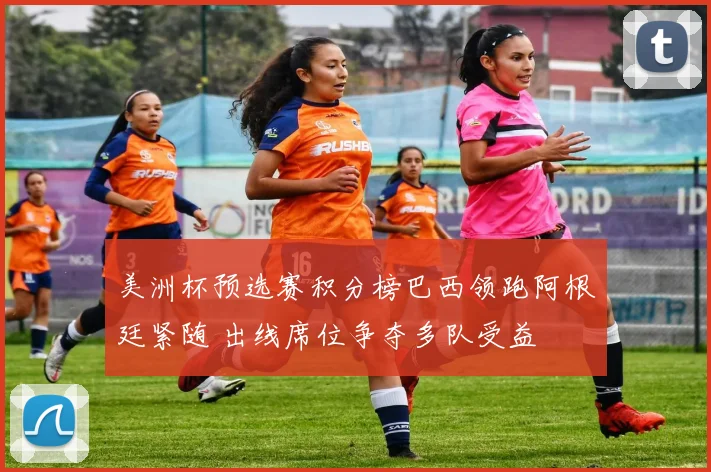 美洲杯预选赛积分榜巴西领跑阿根廷紧随 出线席位争夺多队受益