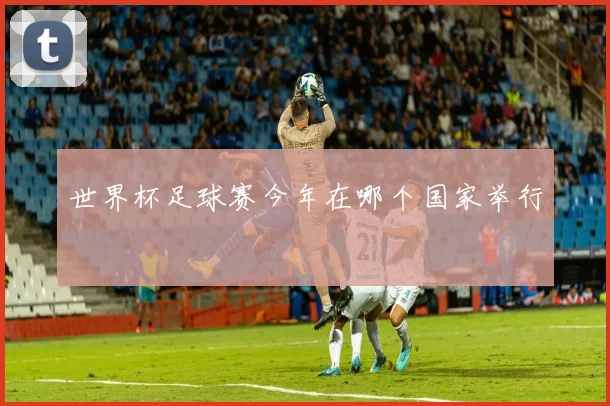 世界杯足球赛今年在哪个国家举行