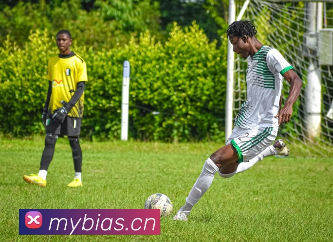 App Interface Preview